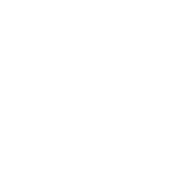The S3 Agency