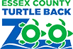 turtleback logo